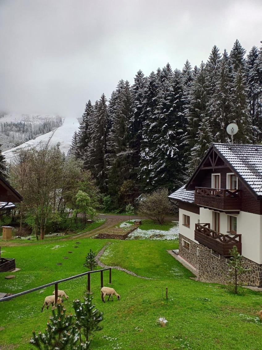 Apartman Grun -Vratna-Paseky Žilina Exterior foto